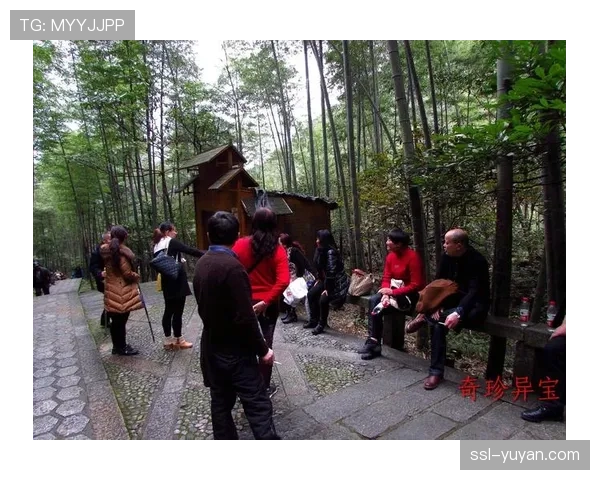 江西省体育局主办明月山超级山径赛盛大开跑助力全民健身与山地运动发展